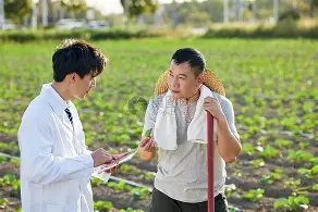 专家预测冰球胜率超六成，结果成焦点