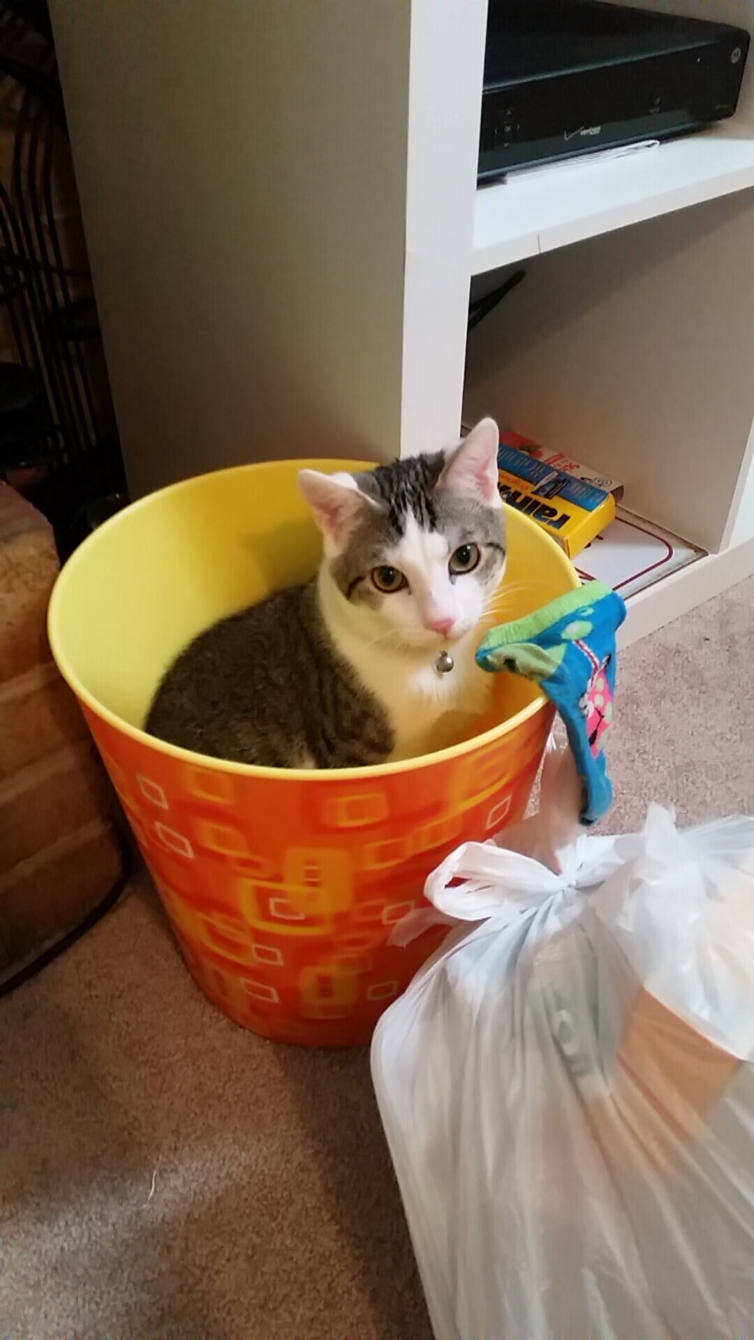 当精密仪器拉什福德稳定输出,英格兰以交响乐节奏拆解塞维利亚的狂想曲