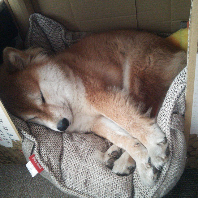 爱游戏在线-东欧铁幕前的叹息之墙，库尔图瓦的爆发与切尔西的乌克兰突围战