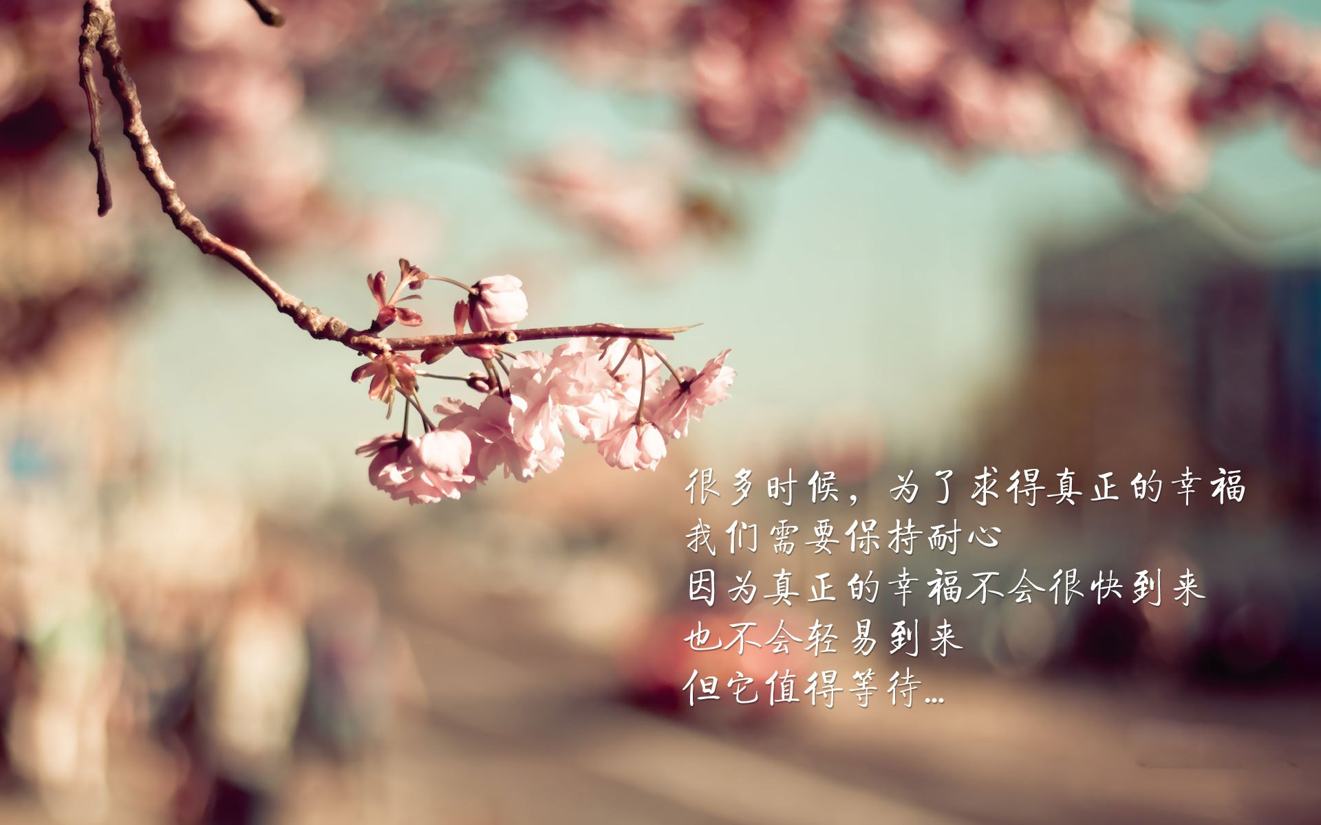 金秋收割,当摩洛哥镰刀在陶瓷球场划出胜利弧线