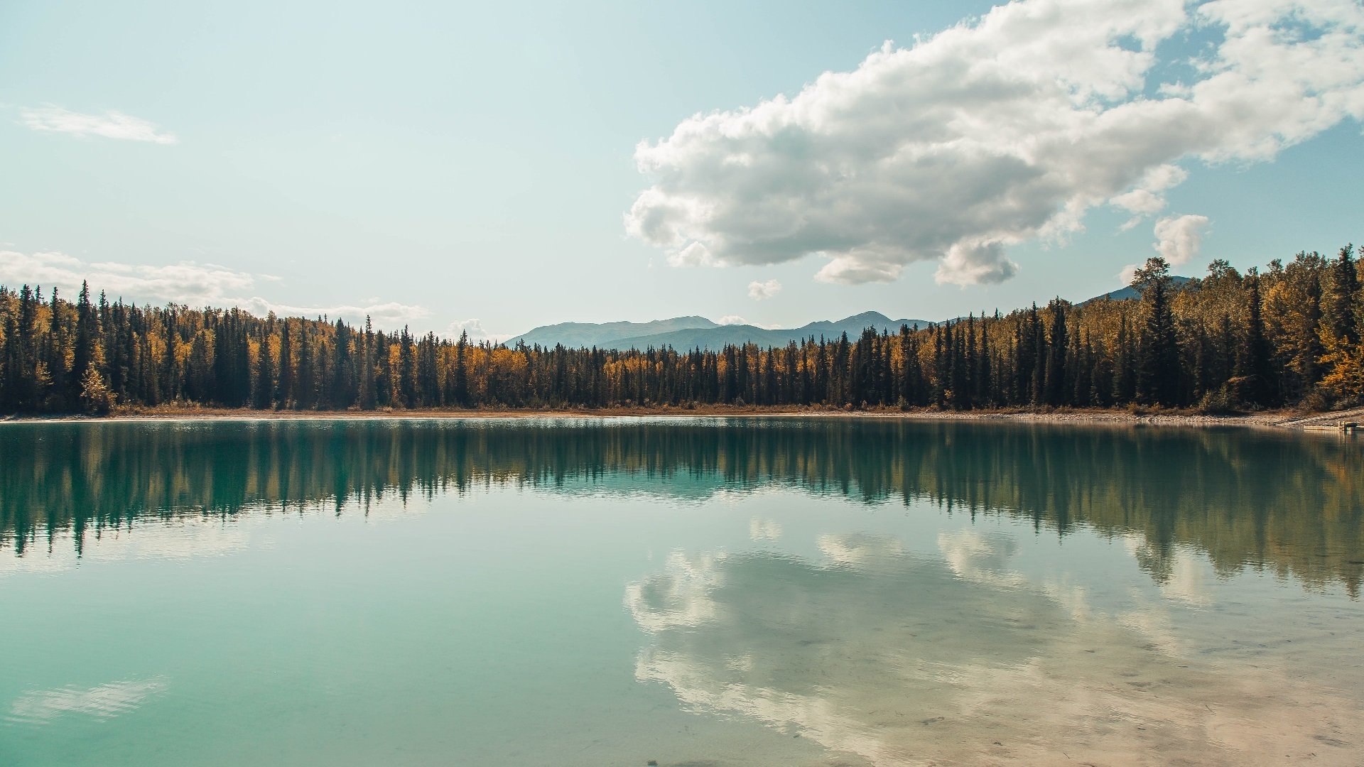 双线争锋,森林狼强势碾压鹈鹕,马克西在英超争冠战中接管比赛