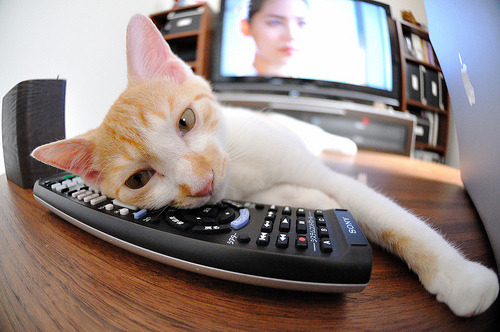 爱游戏娱乐-马克西狂轰45分，森林狼窒息防守全面压制山西队