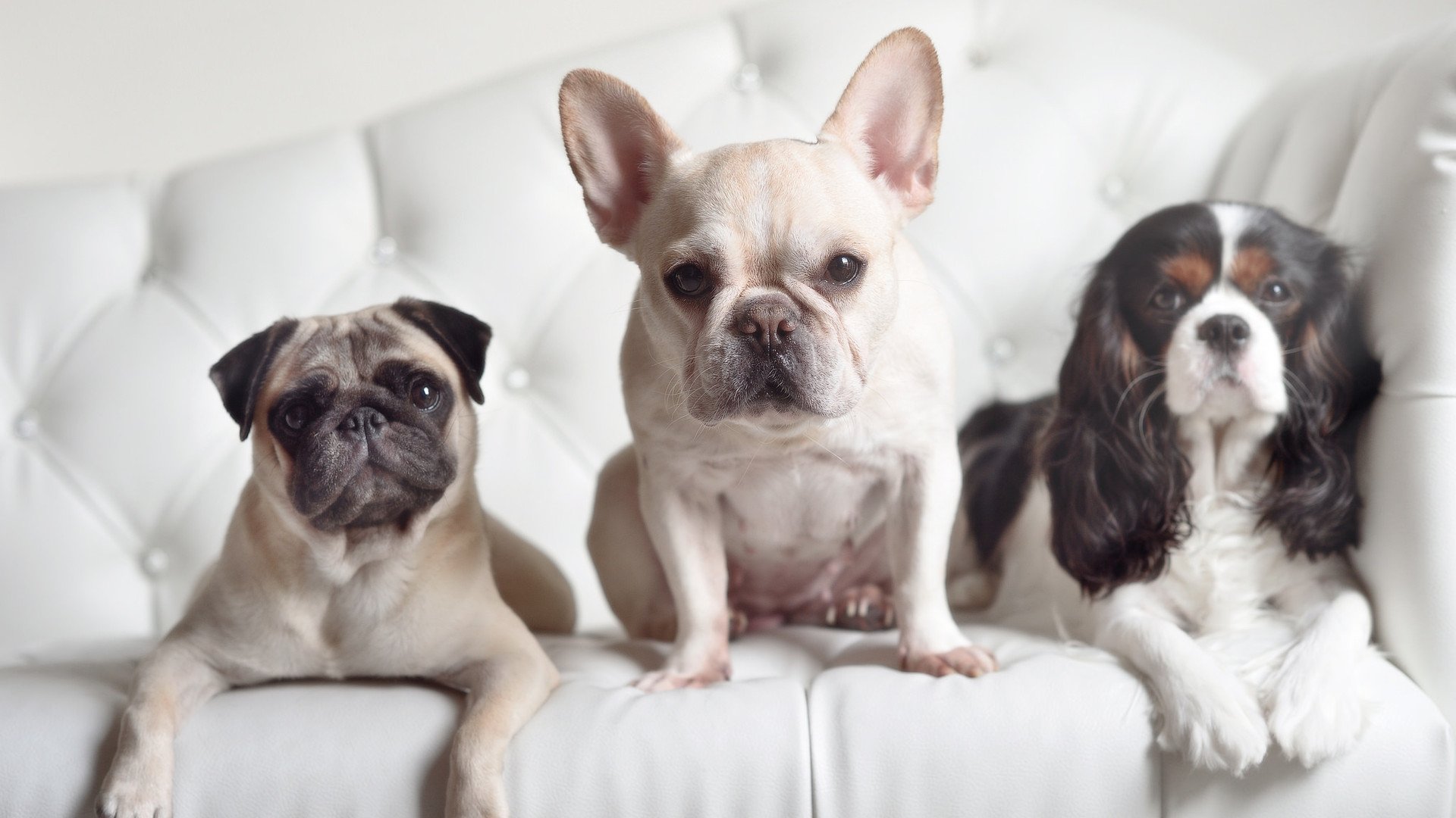 金球与三分，拜仁终结沙特，皮克连续得分拉开差距