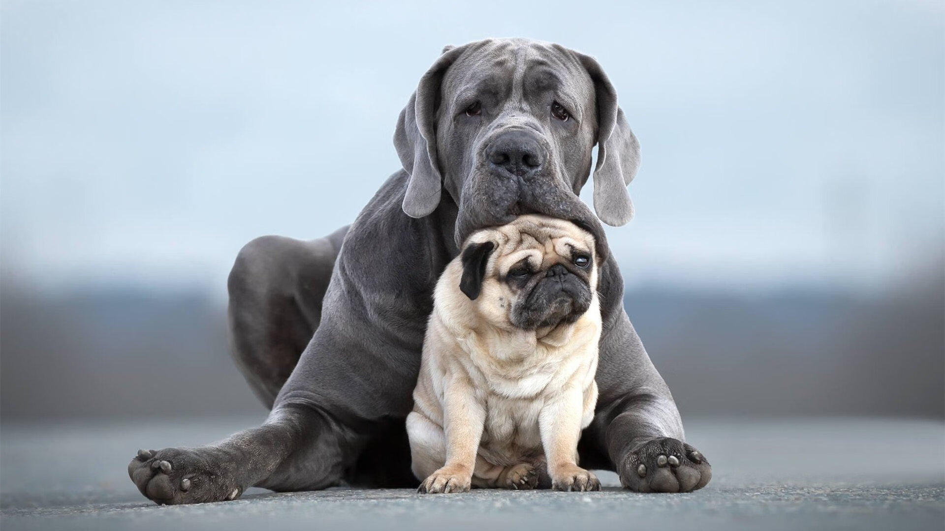 纪录之镰与冠军天平,伊萨克轰鸣之夜如何切割德甲争冠迷雾