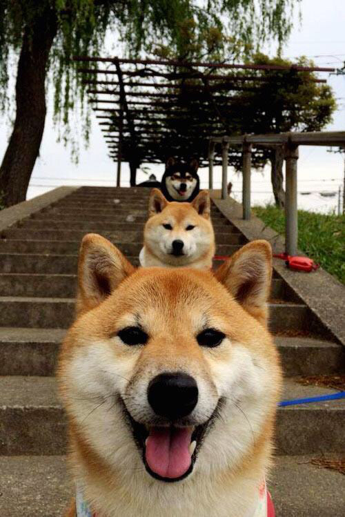 当蓝黑条纹遇见黄蓝旗帜,柏林墙倒塌纪念赛与托马斯·穆勒的时间裂缝